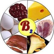 Vitamin B2 B2 untuk Otak